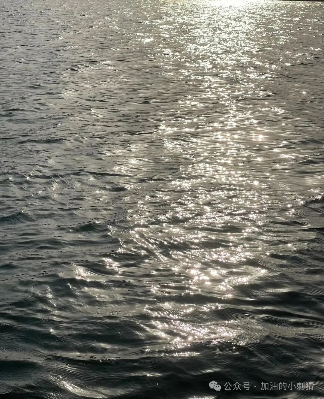 Ϻ峿Fɻʢ_ƽoгӰ